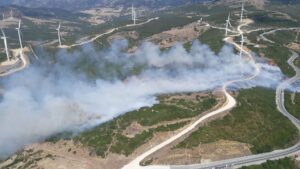 Tarifa concentra el mayor número de incendios de la provincia en este año con 8
