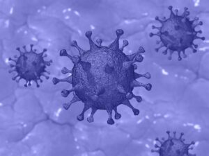 Un antiviral español reduce casi al 100 por cien la carga viral de SARS-Cov-2