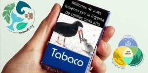 Nereide propone que los paquetes de tabaco informen también de los daños al medio ambiente