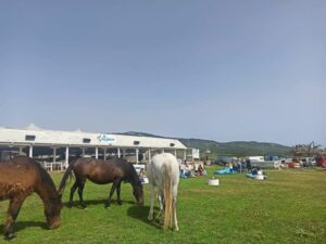 El chiringuito Sirocco reabre hoy en la Playa de Bolonia