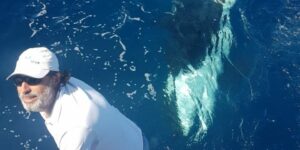 ¿Por qué las orcas muerden el timón de los veleros?