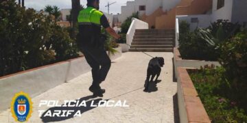 Localizan al perro que agredió a la Policía Local durante la detención de su propietaria