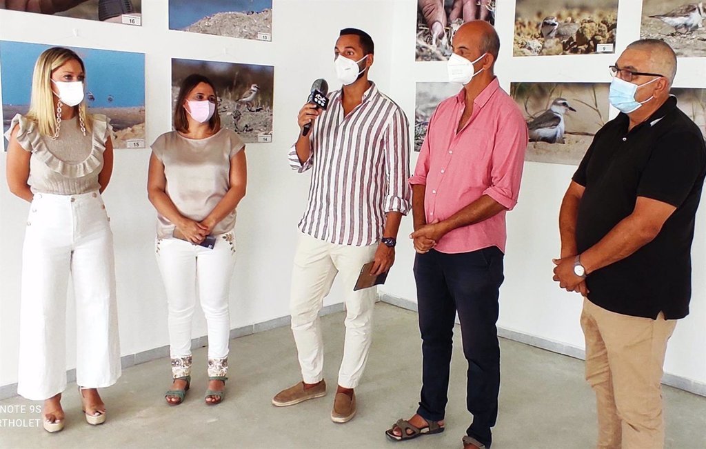 Tarifa acoge la exposición de la Diputación de Cádiz sobre el chorlitejo patinegro