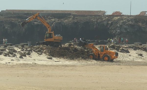 El Ayuntamiento retira más de 4.000 toneladas de alga en las playas urbanas