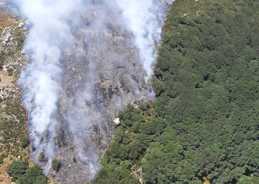 Controlan el incendio del Parque Natural de Tarifa y estabilizan un segundo en Monte Ahumada