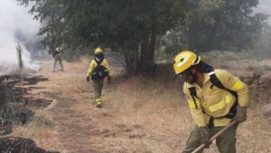 Extinguen el incendio de El Cuartón nueve días después de que se originara