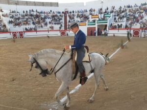 Tarifa es amor al caballo