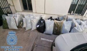 16 detenidos e intervenidos 500 kilogramos de cogollos de marihuana