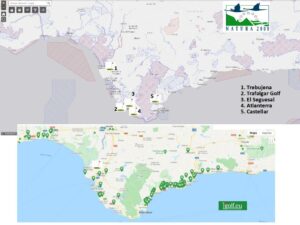 Verdes Europa Tarifa denuncia que los proyectos de Golf de Atlanterra, Següesal y Castellar buscan sólo la especulación