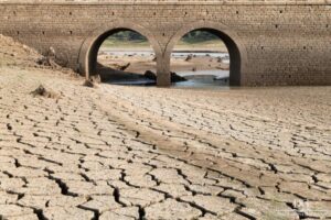 El campo de Gibraltar atraviesa una «sequía extrema» con sus pantanos al 28,8 por ciento de su capacidad