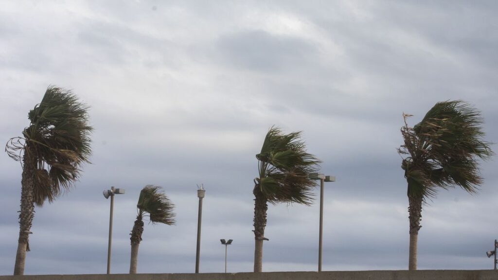Sigue el viento fuerte de levante al menos hasta el sábado