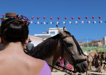 El esperado Día del Caballo volvió a vivirse después de dos años sin Feria. Galería de Fotos
