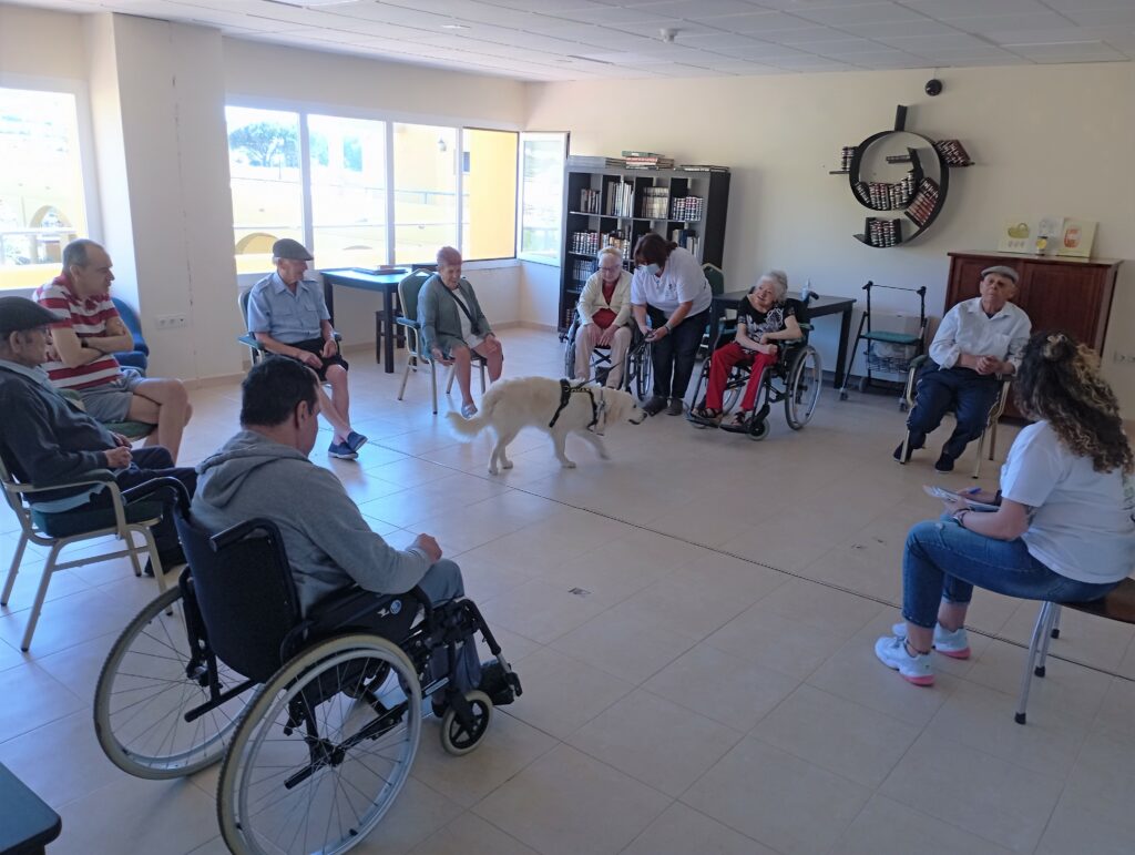 Terapia Canina Seniors Tarifa