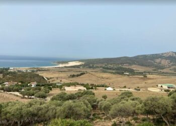 Ecologistas en Acción acusa al Equipo de Gobierno de Tarifa de «primar el interés de un particular antes que el general»