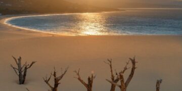 Dunas y Playa, Paraíso y Natura. Por Ben Welsh