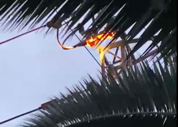 (VIDEO) Cortes de luz y subidas de tensión en casas de la zona rural de Tarifa
