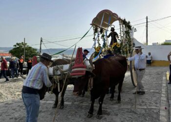La Romería de Facinas 2024 en imágenes
