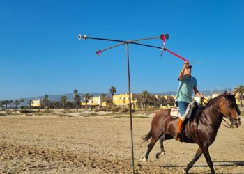 Cintas, caballos, Tarifa y tradición