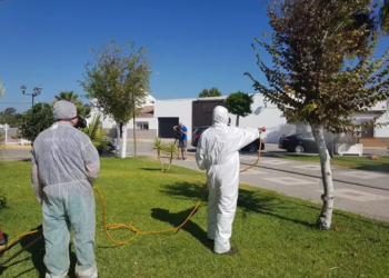 Salud confirma la existencia de mosquitos portadores del Virus del Nilo en Tarifa
