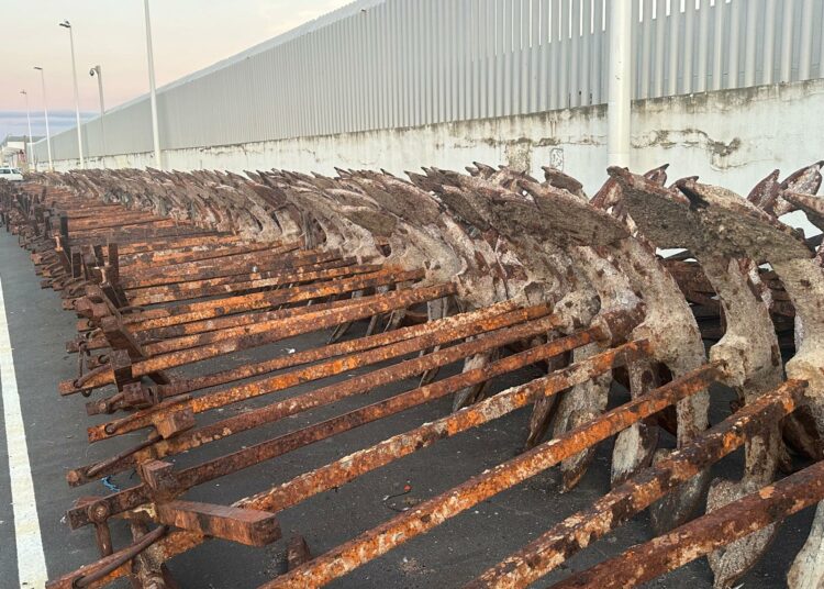 Palo a la flota pesquera, la justicia europea tumba los acuerdos de pesca de la UE con Marruecos