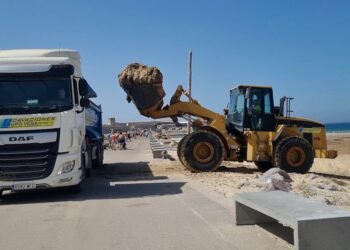 11.387 toneladas de arribazones retiradas por el Ayuntamiento de Tarifa desde el mes de junio