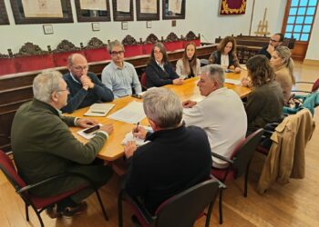 Trabajadores de DFDS/FRS se dan cita en el Ayuntamiento con representantes políticos