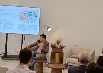 La Confederación de Empresarios de Cádiz «apuesta por la cultura como motor del desarrollo local»