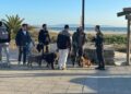 Tarifa multará a los dueños que no lleven atados a sus perros
