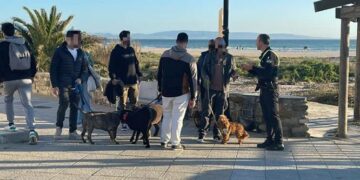 Tarifa multará a los dueños que no lleven atados a sus perros