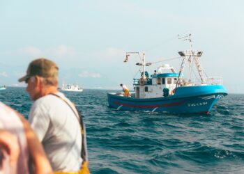 Pide atún Rojo Rojo…el salvaje de Tarifa que se pesca todo el año, el sabor del Estrecho con nombre propio