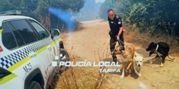 Lanzan un crowdfunding para reconstruir un refugio animal de la Finca de Tarifa tras devastador incendio forestal