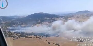 Declaran un incendio forestal en Facinas junto a varios molinos de viento