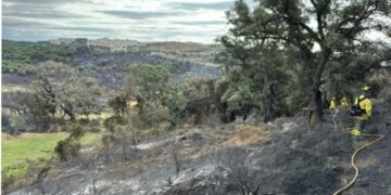 Noche «tranquila» en el incendio de Algeciras (Cádiz), con tres grupos de bomberos trabajando en su control