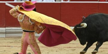 Los toros tarifeños de La Palmosilla brillan en Pamplona