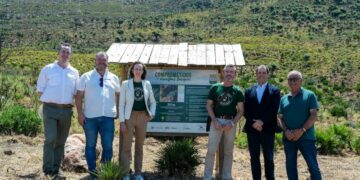 6.500 árboles y 250 especies animales renacen tras el gran incendio de 2024 en Tarifa