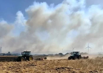 El orgullo del campo tarifeño: los agricultores, pieza clave en la estabilización del incendio en Facinas