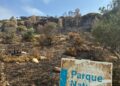 AGADEN reclama una «investigación exhaustiva y pública» y plantea 10 medidas para evitar incendios en Tarifa