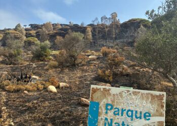 AGADEN reclama una «investigación exhaustiva y pública» y plantea 10 medidas para evitar incendios en Tarifa
