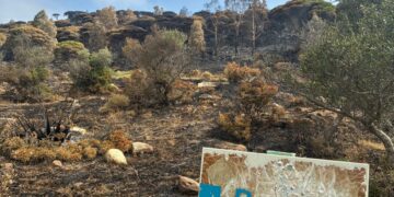AGADEN reclama una «investigación exhaustiva y pública» y plantea 10 medidas para evitar incendios en Tarifa