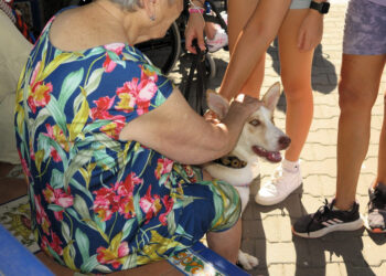 Wax, Bunny, Vampi y los mayores de Tarifa