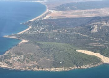 Cuando un monte se quema, se quema algo del alma de un lugar. Por El Sherma del Estrecho
