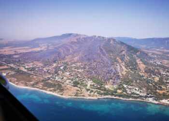 Así quedó el monte en Tarifa tras el incendio (video)