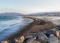 Tarifa recibe 150.000 euros para la retirada del alga invasora Rugulopteryx Okamurae