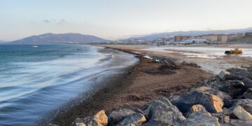 Tarifa recibe 150.000 euros para la retirada del alga invasora Rugulopteryx Okamurae