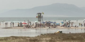 Borrador automático