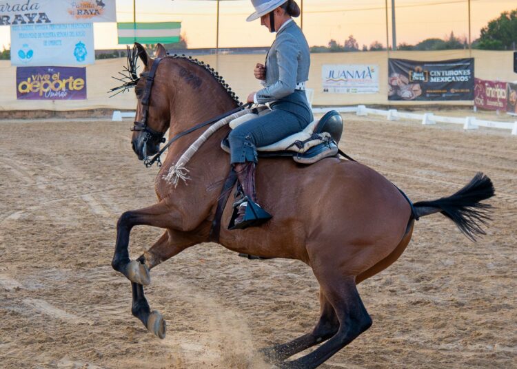 «Preciosa foto de mujer trabajadora me alegro mucho que hayas ganado la medalla»