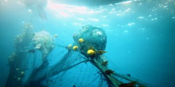 Verdemar denuncia ante el MITECO la pesca ilegal con “redes de la muerte” en el Estrecho de Gibraltar