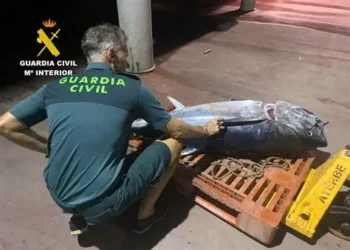 Condenados los tres pescadores marroquíes detenidos en el Estrecho con un atún rojo de 90 kilos