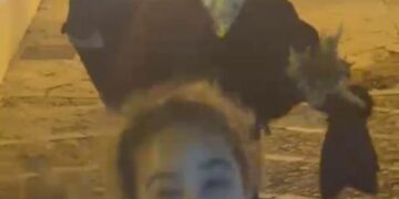 Noche de terror en Tarifa…