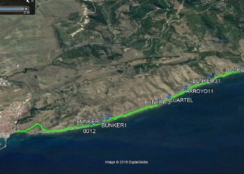 Cierran el sendero del río Guadalmesí por la presencia de un nido de avispa asiática